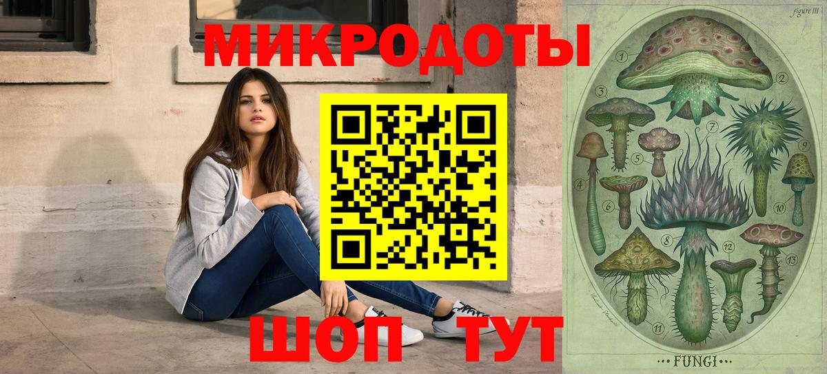 Майкоп  Галлюциногенные грибы Psilocybe  Вход с VPN 