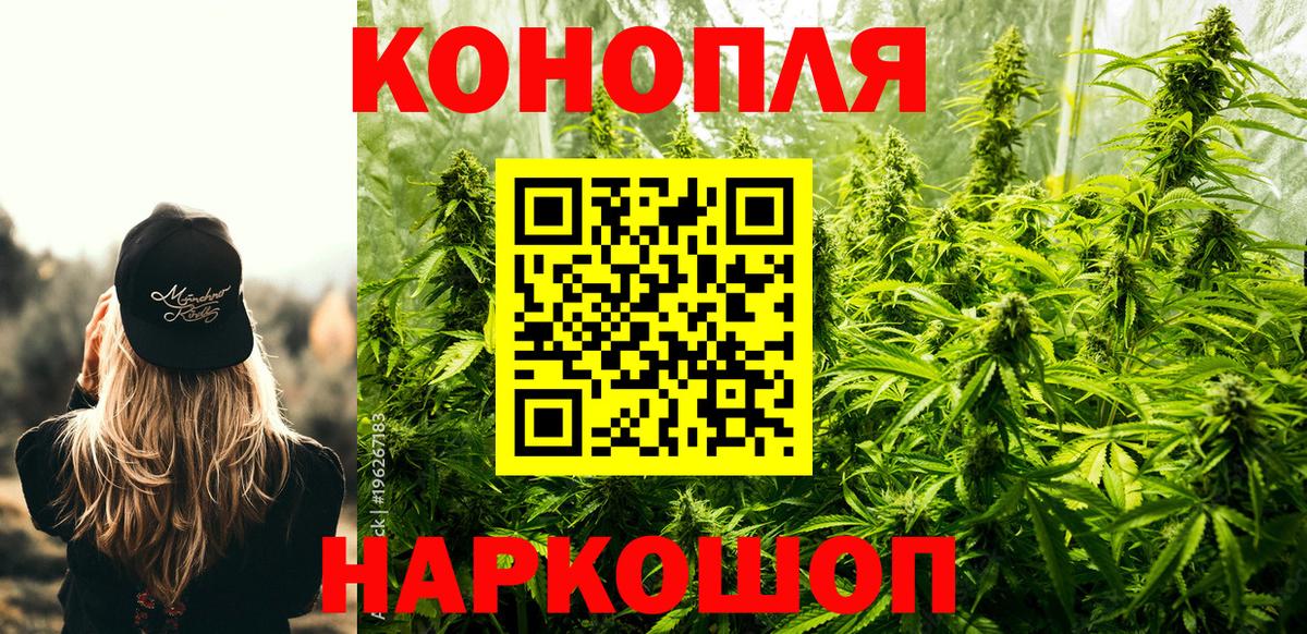 Шишки марихуана конопля Майкоп